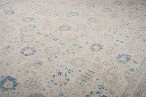 Full view of New Haj-jalili rug from Pakistan, 537 × 369 cm in Beige tones
