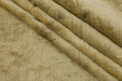 Full view of 1930s Antique Carpets rug from Germany, 582 × 366 cm in Beige tones