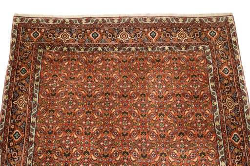 Surface texture of New Bijar rug with natural Wool and intricate pattern
