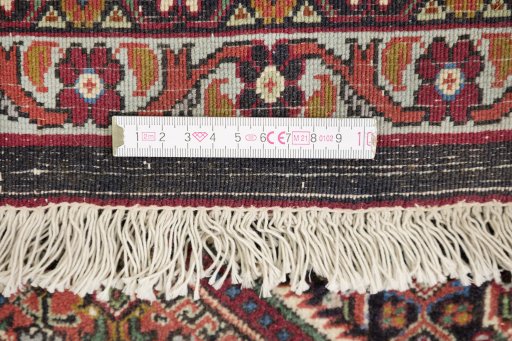 Full view of New Bijar rug from Iran / Persia, 305 × 192 cm in Red tones