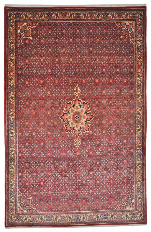 Full view of 1950s Bijar rug from Iran / Persia, 325 × 211 cm in Red tones