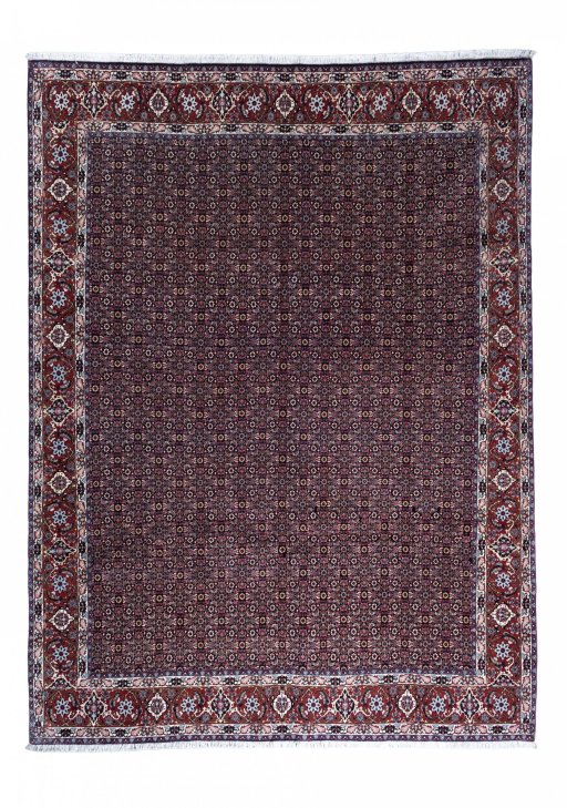 Full view of New Bijar rug from Iran / Persia, 341 × 255 cm in Blue tones