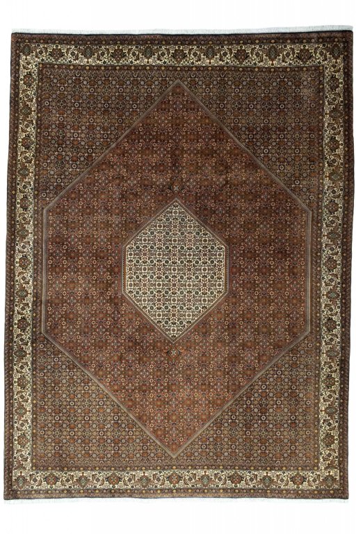 Full view of 2000s Bijar rug from Iran / Persia, 350 × 260 cm in Red tones