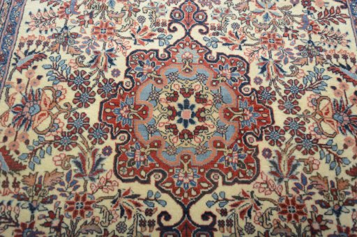 Central medallion detail of 2000s Bijar rug from Iran / Persia