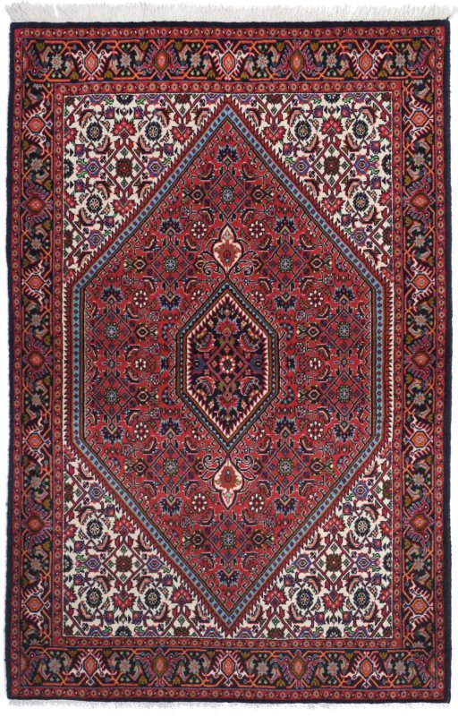 Full view of New Bijar rug from Iran / Persia, 162 × 105 cm in Multi Color tones