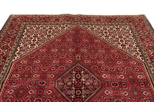 Full view of 2020s Bijar rug from Iran / Persia, 240 × 168 cm in Red tones