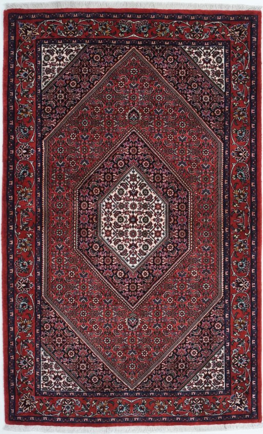 Full view of New Bijar rug from Iran / Persia, 182 × 114 cm in Red tones