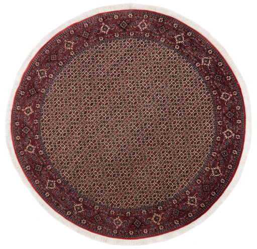 Full view of New Bijar rug from Iran / Persia, 250 × 250 cm in Multi Color tones