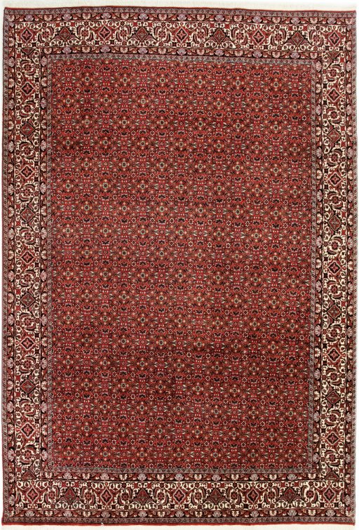 Full view of New Bijar rug from Iran / Persia, 300 × 205 cm in Red tones