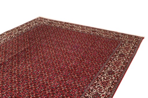 Surface texture of New Bijar rug with natural Wool and intricate pattern