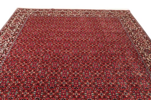Full view of New Bijar rug from Iran / Persia, 300 × 205 cm in Red tones