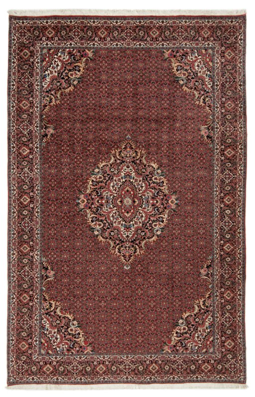 Full view of New Bijar rug from Iran / Persia, 310 × 200 cm in Red tones