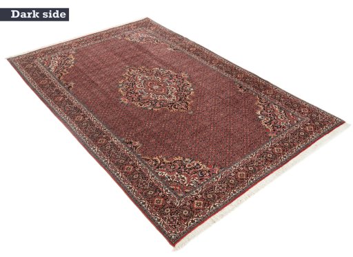 Full view of New Bijar rug from Iran / Persia, 310 × 200 cm in Red tones