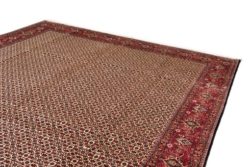 Surface texture of New Bijar rug with natural Wool and intricate pattern