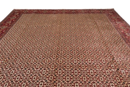 Full view of New Bijar rug from Iran / Persia, 402 × 300 cm in Beige tones