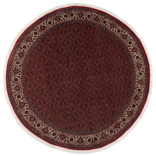 Full view of New Bijar rug from Iran / Persia, 247 × 247 cm in Red tones