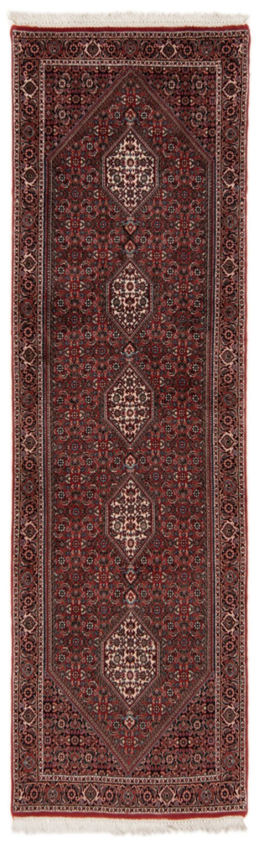 Full view of New Bijar rug from Iran / Persia, 248 × 77 cm in Red tones