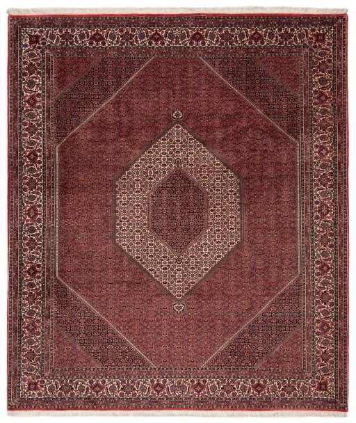 Full view of New Bijar rug from Iran / Persia, 300 × 256 cm in Red tones