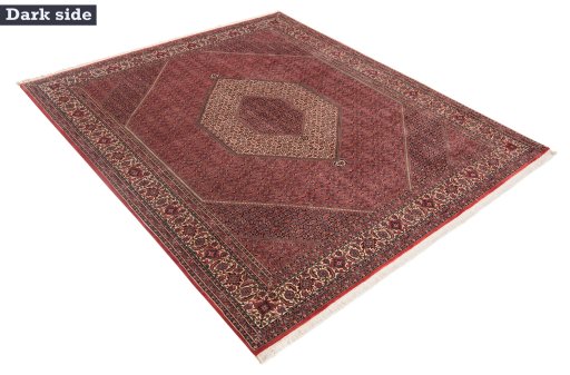 Full view of New Bijar rug from Iran / Persia, 300 × 256 cm in Red tones