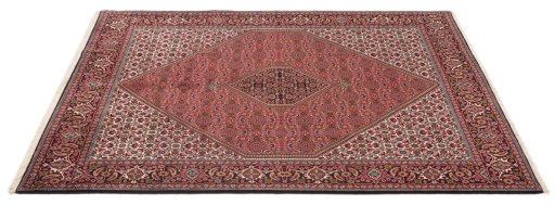 Full view of New Bijar rug from Iran / Persia, 293 × 208 cm in Multi Color tones