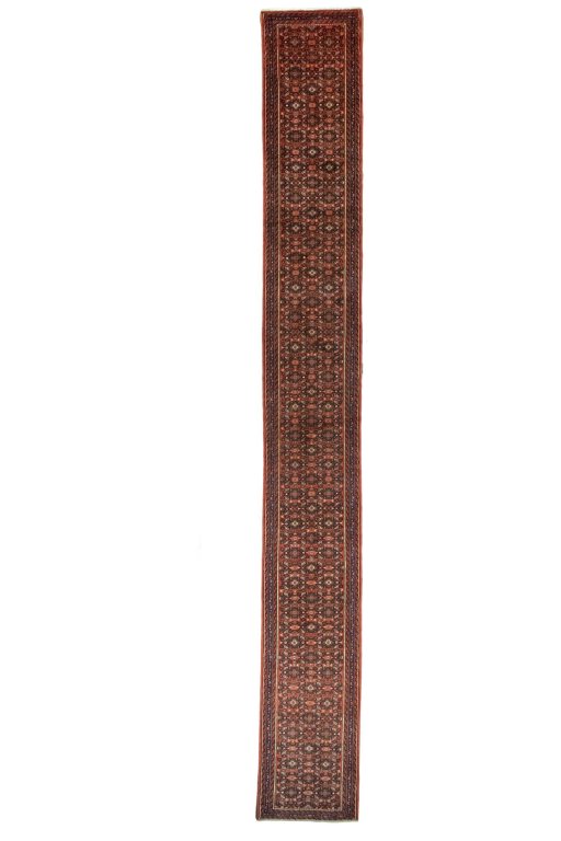 Full view of New Hoseinabad rug from Iran / Persia, 601 × 75 cm in Red tones