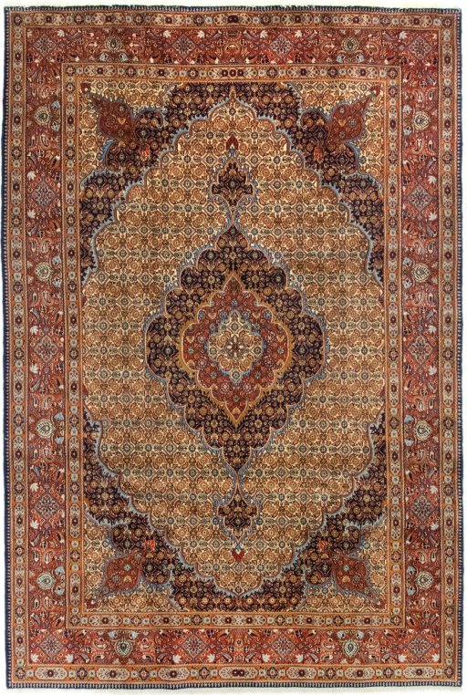 Full view of 2020s Moud rug from Iran / Persia, 302 × 207 cm in Cream tones
