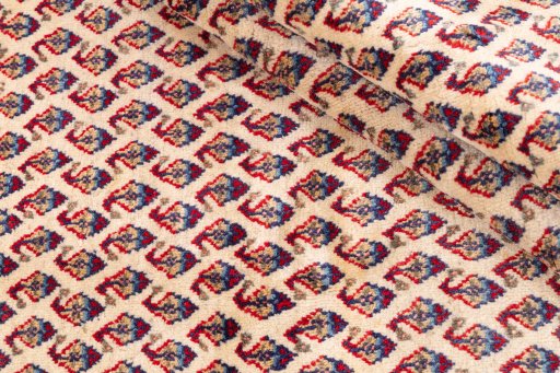 Corner detail of 1975s Sarough rug showing border pattern and Wool pile