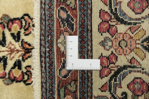 Full view of New Sarough rug from Iran / Persia, 121 × 62 cm in Beige tones