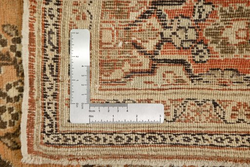 Corner detail of 1900s Tabriz rug showing border pattern and Wool pile