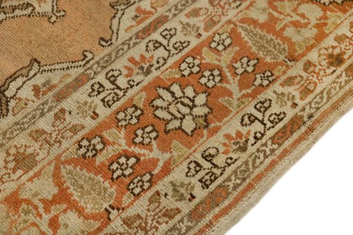 Central medallion detail of 1900s Tabriz rug from Iran / Persia