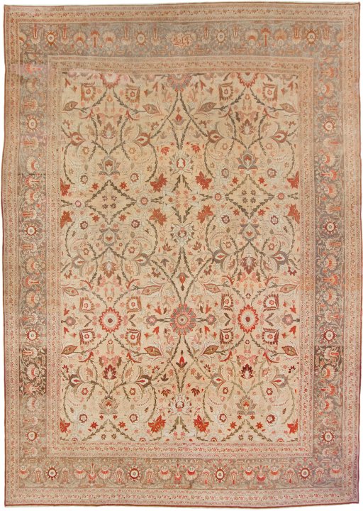 Full view of 1880s Tabriz rug from Iran / Persia, 503 × 360 cm in Cream tones