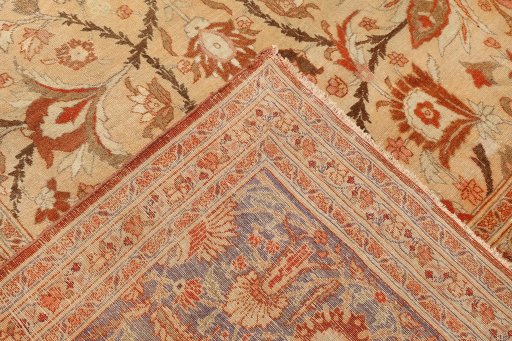 Full view of 1880s Tabriz rug from Iran / Persia, 503 × 360 cm in Cream tones