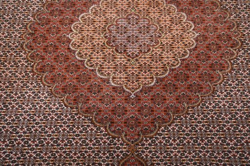 Central medallion detail of New Tabriz rug from Iran / Persia