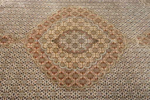 Central medallion detail of 2000s Tabriz 50/60/70 Raj rug from Iran / Persia