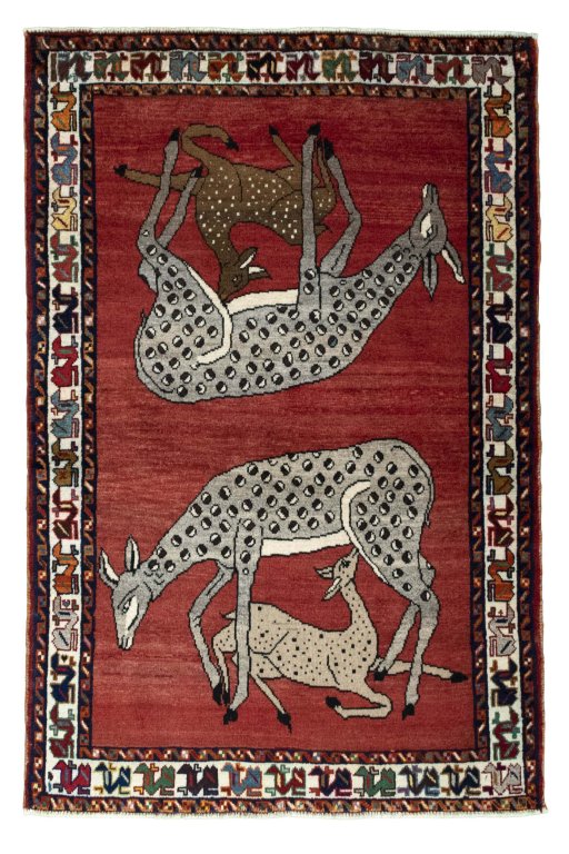 Full view of 2000s Persian Gabbeh rug from Iran / Persia, 153 × 101 cm in Red tones