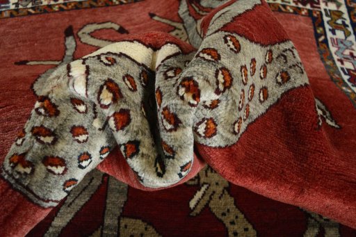 Corner detail of 2000s Persian Gabbeh rug showing border pattern and Wool pile