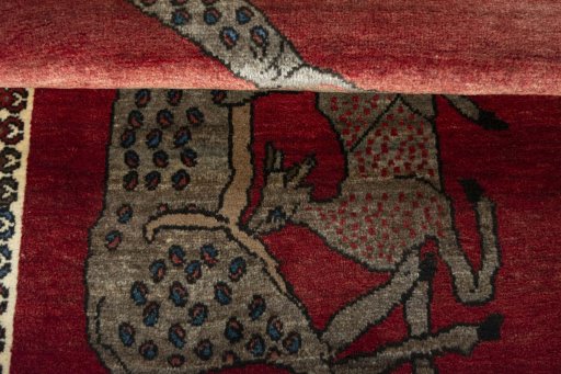 Full view of 2000s Persian Gabbeh rug from Iran / Persia, 184 × 80 cm in Red tones