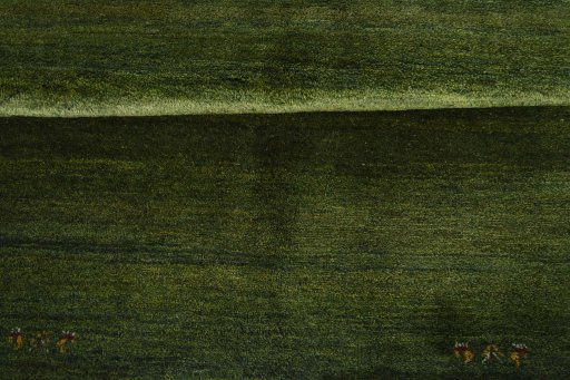 Full view of New Persian Gabbeh rug from Iran / Persia, 208 × 149 cm in Green tones
