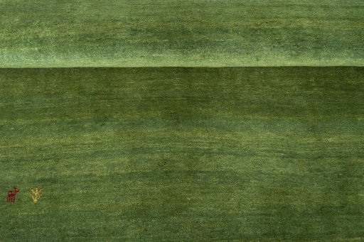 Full view of New Persian Gabbeh rug from Iran / Persia, 238 × 165 cm in Green tones