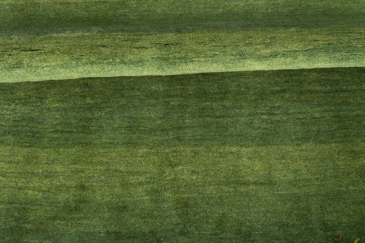 Full view of New Persian Gabbeh rug from Iran / Persia, 203 × 142 cm in Green tones