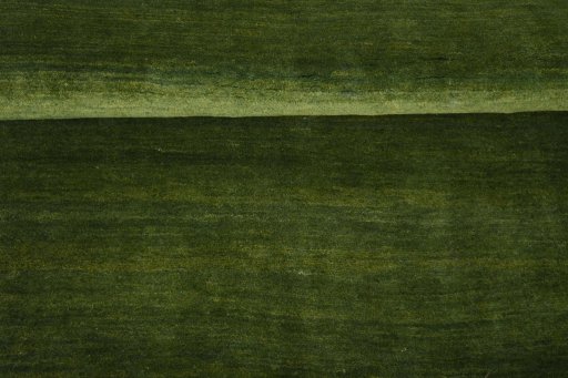 Full view of New Persian Gabbeh rug from Iran / Persia, 238 × 162 cm in Green tones