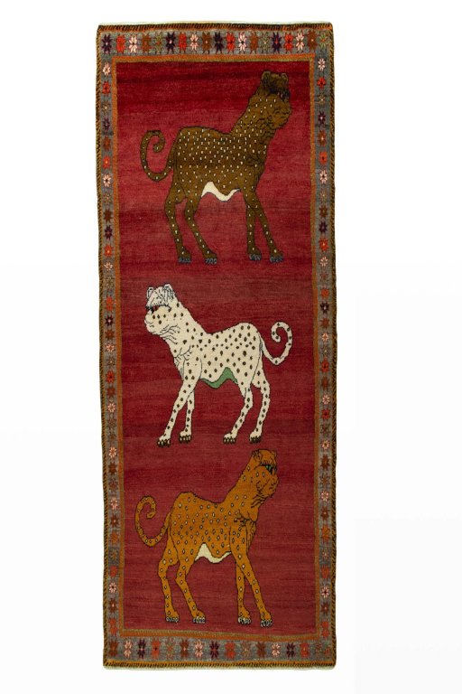 Full view of 2000s Persian Gabbeh rug from Iran / Persia, 281 × 104 cm in Red tones