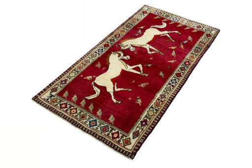 Corner detail of 2000s Persian Gabbeh rug showing border pattern and Wool pile