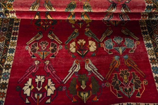 Full view of 2000s Persian Gabbeh rug from Iran / Persia, 250 × 157 cm in Red tones