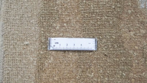 Full view of New Nepal Carpets rug from Nepal, 302 × 251 cm in Beige tones