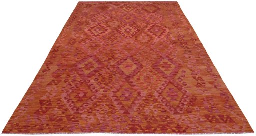 Full view of New Modern Design rug from Pakistan, 298 × 207 cm in Multi Color tones