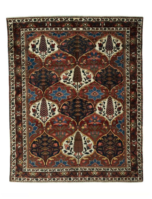 Full view of 1950s Bakhtiar rug from Iran / Persia, 192 × 154 cm in Red tones