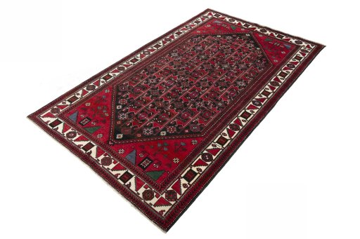 Corner detail of 2000s Hamedan rug showing border pattern and Wool pile