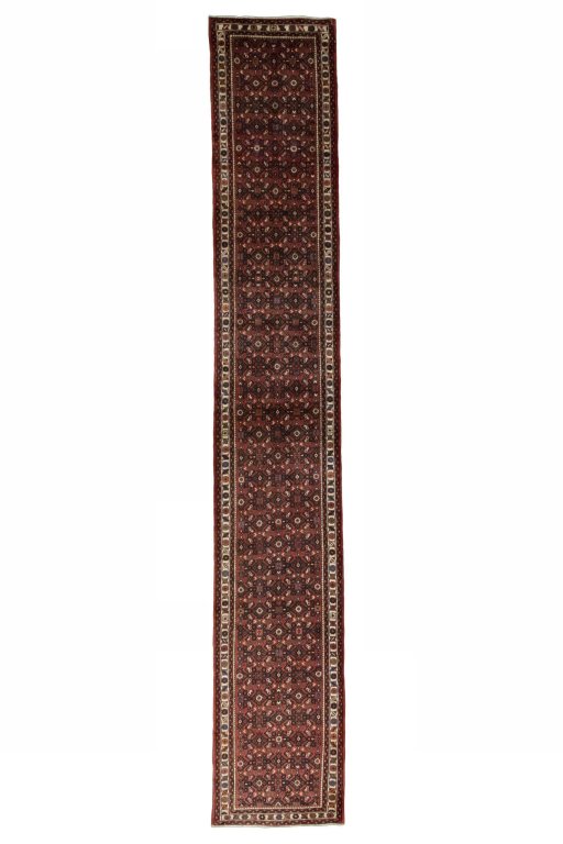 Full view of New Hamedan rug from Iran / Persia, 490 × 78 cm in Red tones