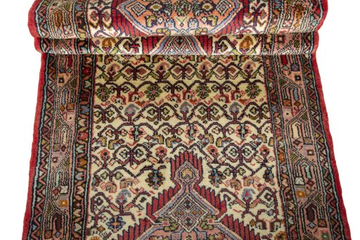 Full view of 2000s Hamedan rug from Iran / Persia, 290 × 78 cm in Beige tones